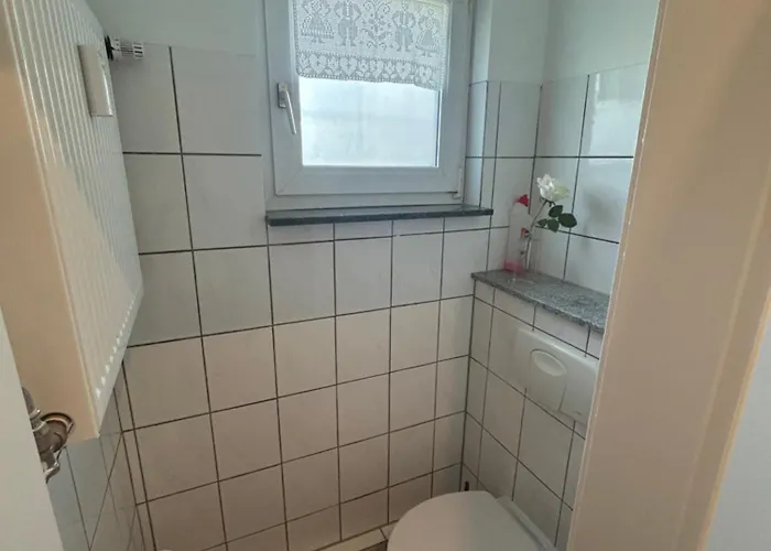 In Der Alten Dongschule